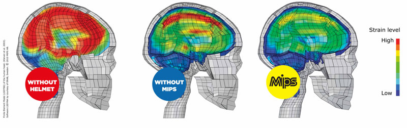 Multi-Directional-Impact-Pr