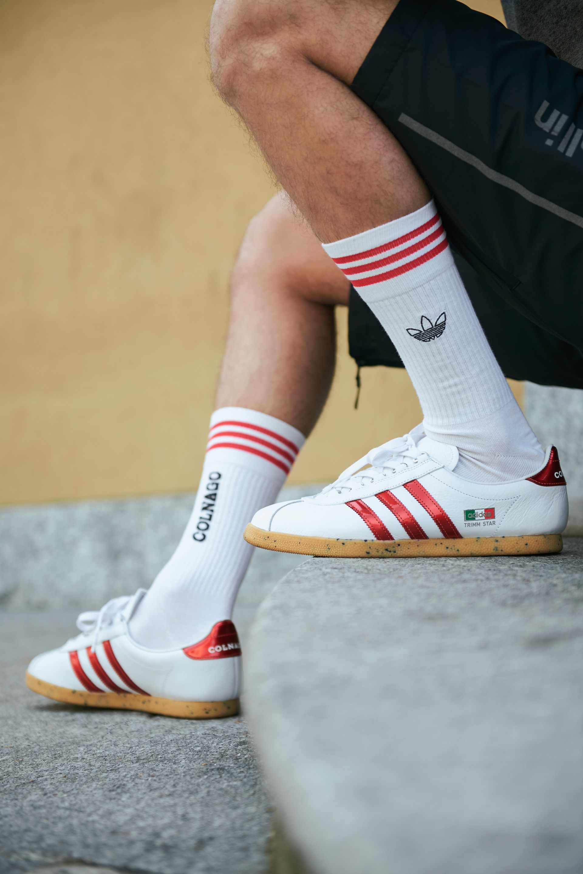 AdidasColnago_Finals 10 copy