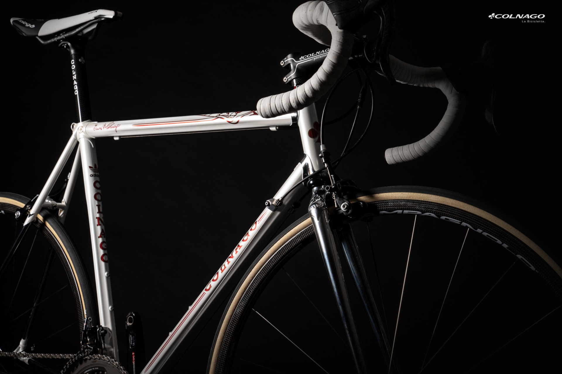Colnago MASTER ADIDAS particolare 8
