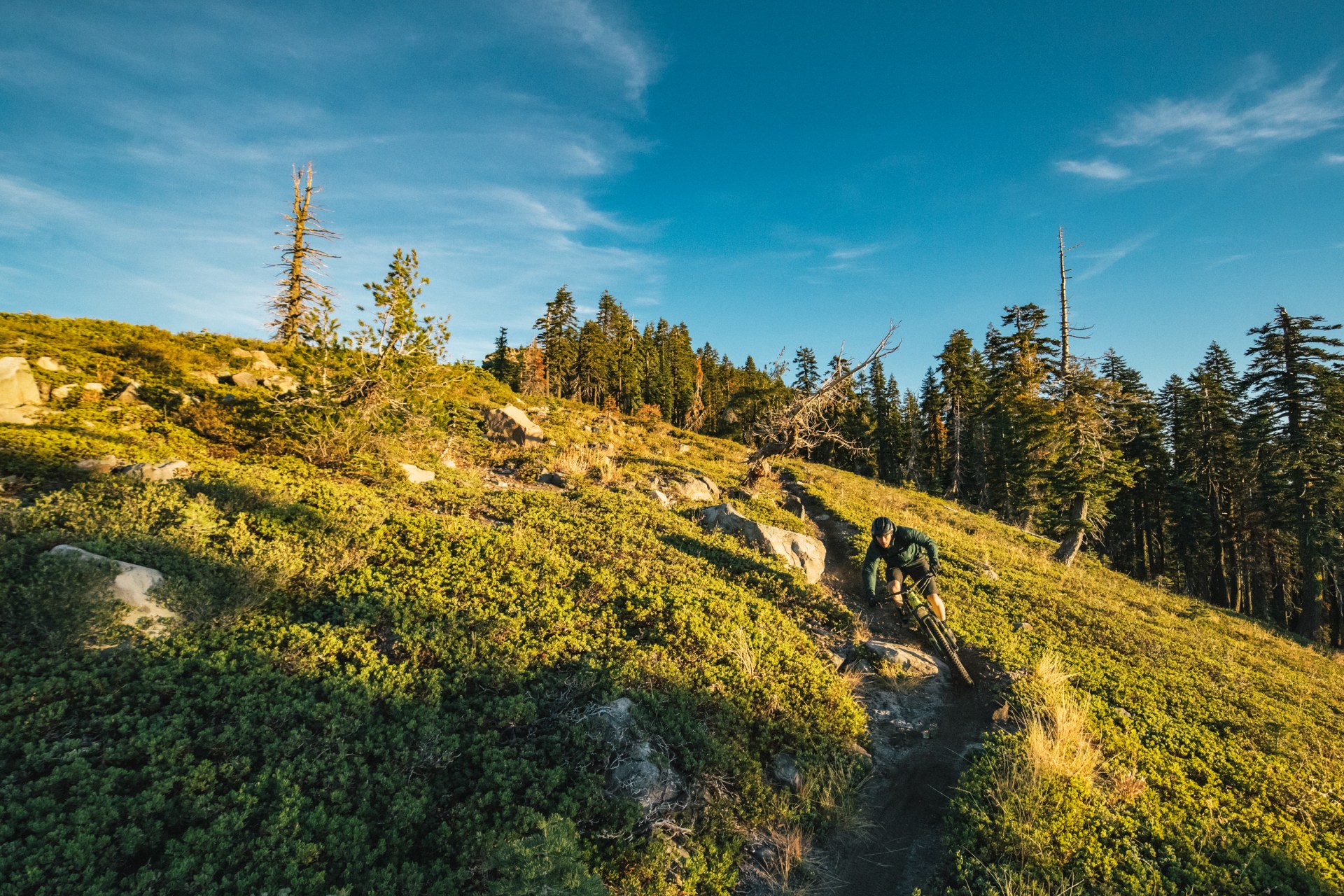 SCB_MY20_HECKLER-058